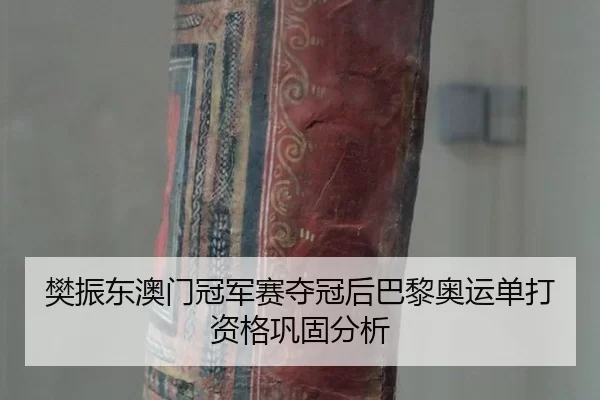 fan-zhen-dong-ao-men-guan-jun-sai-duo-guan-hou-ba-li-ao-yun-dan-da-zi-ge-gong-gu-fen-xi-3-429.jpg